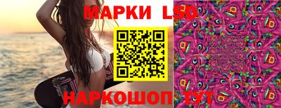 амф Кулебаки