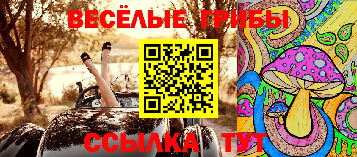 Псилоцибиновые грибы GOLDEN TEACHER  Вход с VPN  Фрязино  Галлюциногенные грибы ЛСД 