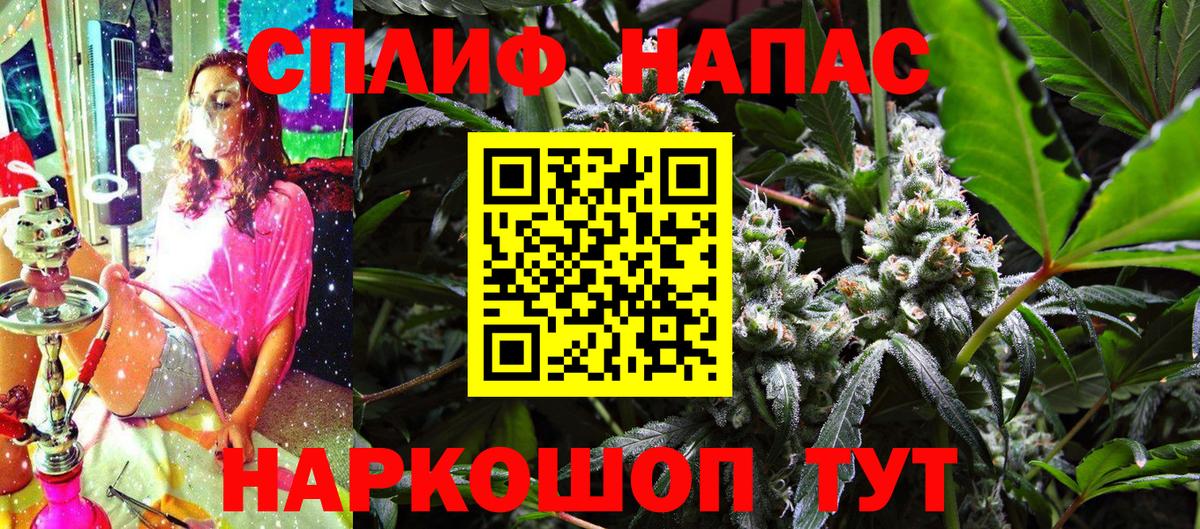 Фрязино  Бошки Шишки Ganja  Каннабис THC 21%  Вход с VPN  Каннабис Amnesia  Бошки Шишки конопля 